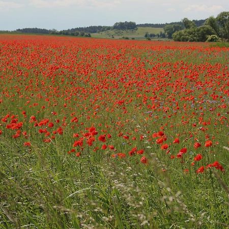 Ferienwohnung Am Weltnaturerbe Grumsin Ziehten Kültér fotó