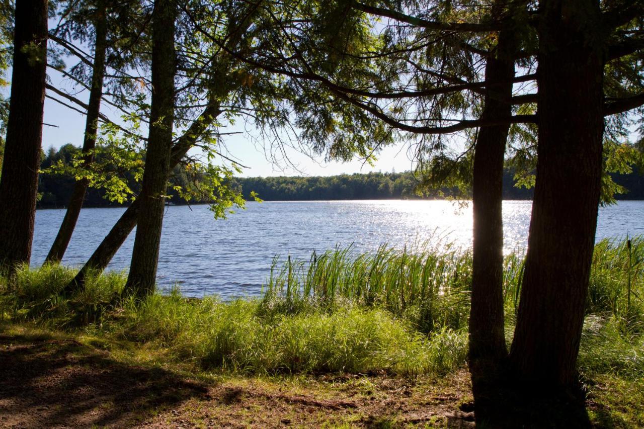 Ferienwohnung Am Weltnaturerbe Grumsin Ziehten Kültér fotó